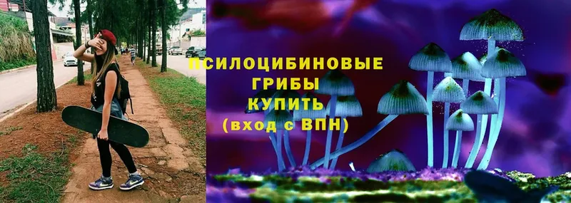 наркотики  Богданович  МЕГА сайт  Галлюциногенные грибы Magic Shrooms 